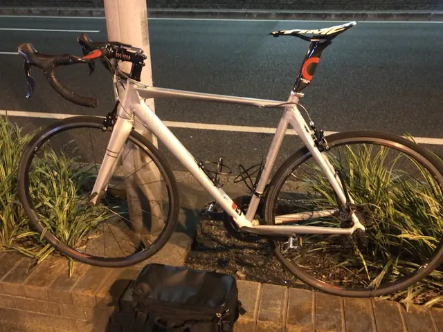 RUI's cycling adventures, photo 3